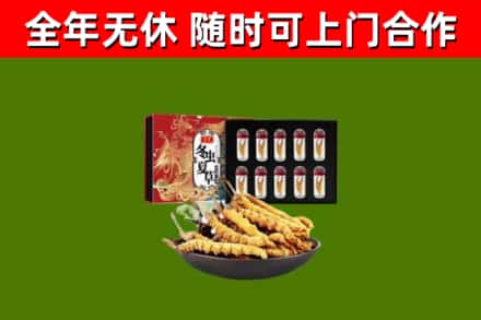 雨花区回收冬虫夏草价格